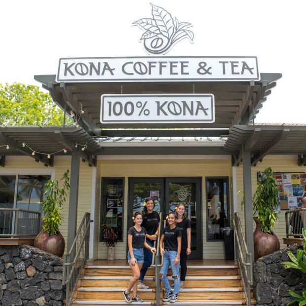 The high elevation, constant cloud coverage and rich volcanic soil from . Started From The Farm Now We Re Here Kona Coffee And Tea Company