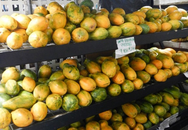 Located on alii drive in the heart of kailua. Hawaii S Kona Coast Beckons With A Growing Folksy Fun Food Scene To Savor By April Orcutt Batw Travel Stories Medium