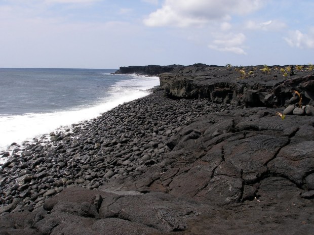 We may receive compensation when you click on links to those products. Bencard S Bites March 2010