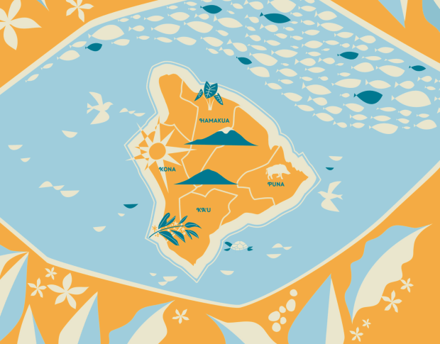 Image Finally, if you're in waikiki you should stop by kona coffee purveyors. Big Island Coffee Roasters Design In Coffee