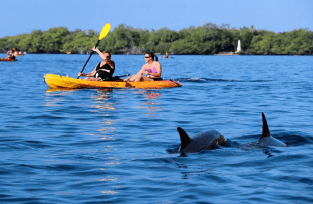 Enjoy views of haleakala, molokini crater, kahoolawe, lanai, molokai and hawaii (big island) on a clear day!! Kayak Sup Rental In Kealakekua Bay