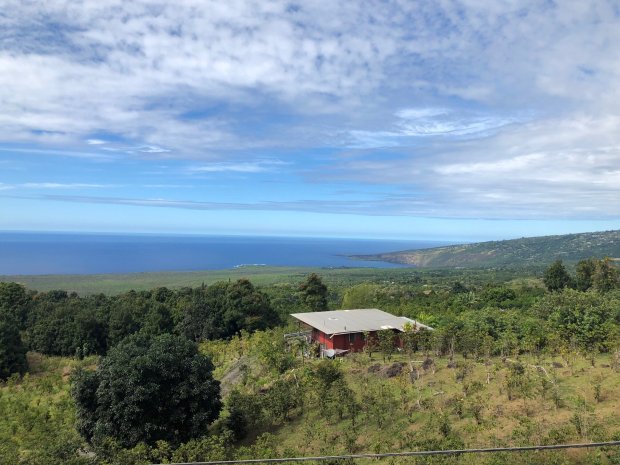 Mauigrown™ coffee is the grower of kaanapali estate coffee located on the west maui mountains . Rc Kona Coffee