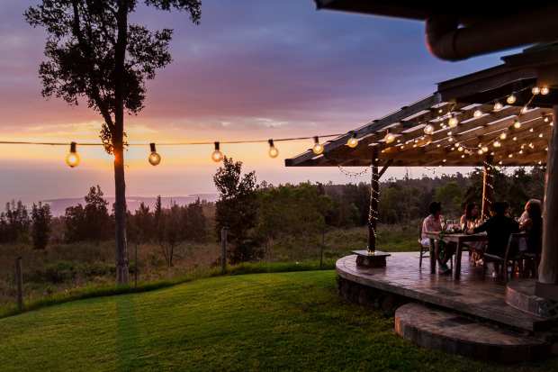 Posted an 8.2% jump in global sales at restaurants o. Events Sunshower Farms Kona Coffee Farm And Event Venue