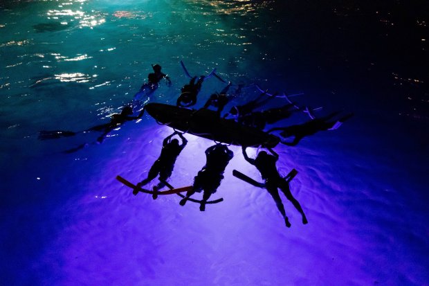 Humpback whales hawaii, best whale watching tour hawaii. Hawaiian Adventures World Class Kona Whale Watch And Snorkeling Tours