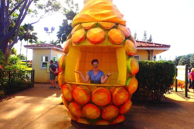 By proceeding, you agree to our privac. The World S Largest Pineapple Maze At Hawaii S Dole Plantation Deviating The Norm