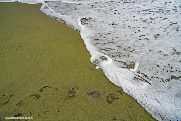 Accessible on foot or by 4wd . PapakÅlea Green Sand Beach Big Island Hikes