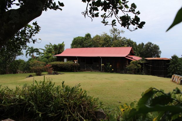 Paradise's focus is on the coffees that come from the hawaiian coffee farms it manages, as well as emerging coffee regions from around the world. Kona Coffee Living History Farm Kona Historical Society