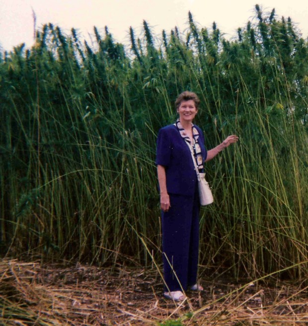 Have you heard about the hawaiian island that’s so secret it earned the nickname “the forbid. All Hawaii News Revenue Council Finds Additional 40m Big Island Farm May Go From Bananas To Marijuana Honolulu Council Mulls Public Electric Utility Ellison Paid 300m For Lanai Study Shows Hemp Could