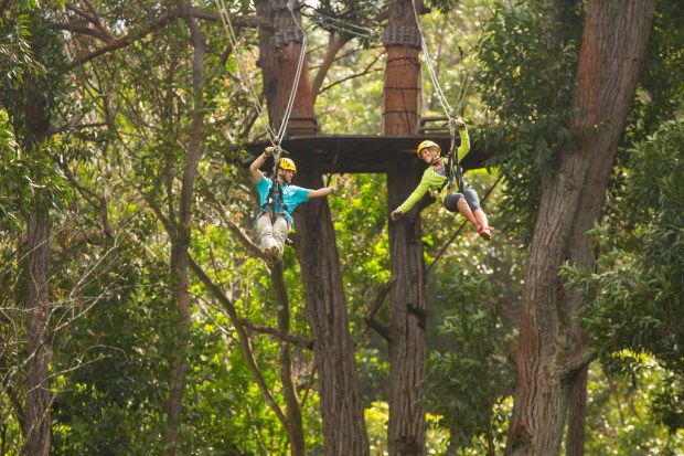 And though t+l readers might skew higher budget than the traveling pu. Ziplines Big Island Activities Store
