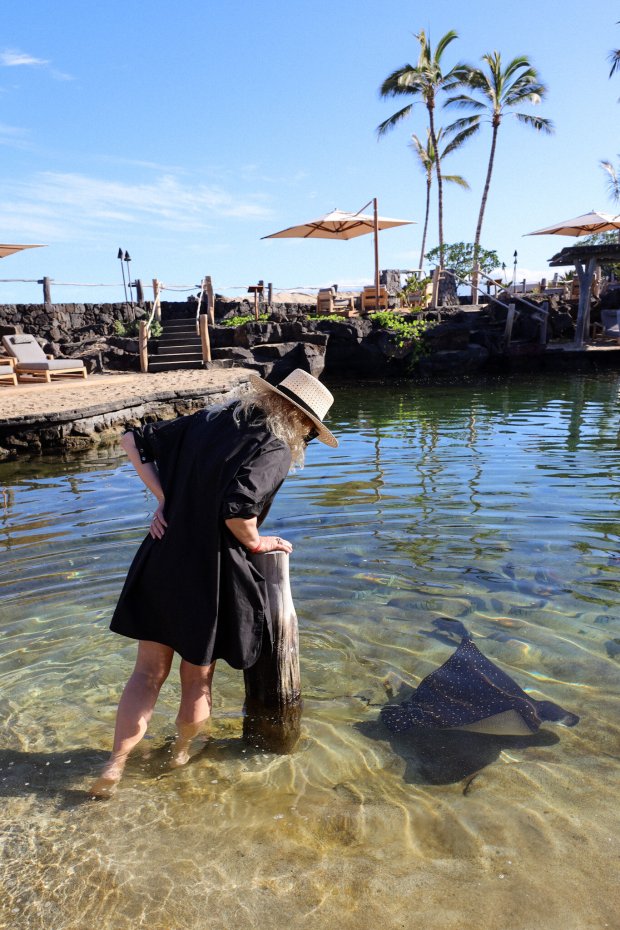 Customers travelling to the u.s. My Guide To Kona Leeann Sauter