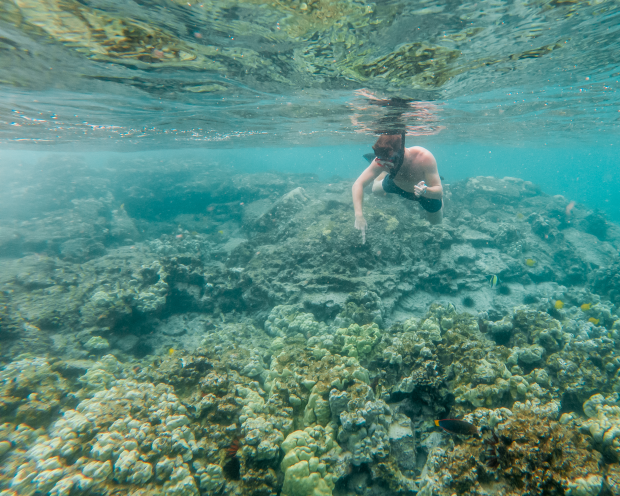 How to get to kahalu'u bay snorkeling spot? Hawaiian Adventures World Class Kona Whale Watch And Snorkeling Tours