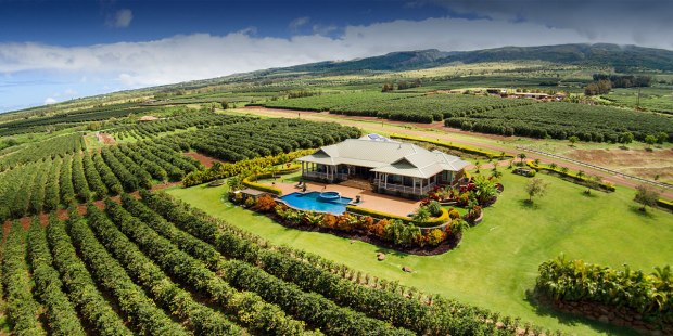 If you buy from a link, we may earn a commission. Ka Anapali Coffee Farms Real Estate Lots In Maui Hawaii