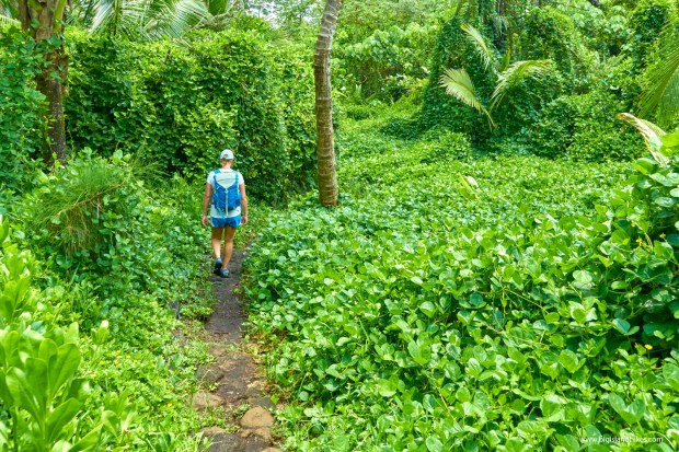 For that reason, people may not get to visit, and many more don’t know too much about it beyond the fact that it’s a gorgeous paradise and beautiful plac. The Puna Trail Big Island Hikes