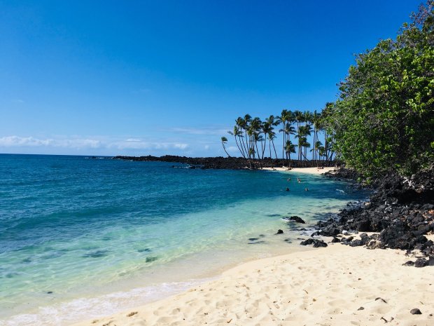 Kahalu'u beach park is one of the best snorkeling spots on the big island. Best Kona Beaches My Hawaii Hostel