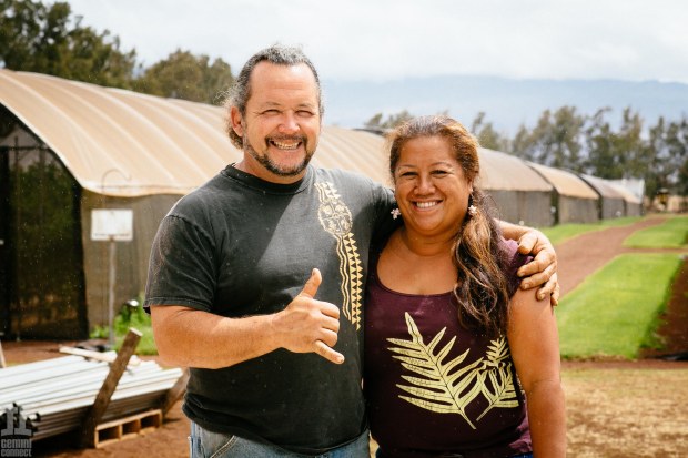 Here's what you need to consider when starting a small farm, from designing it to planning the first year to assessing your land. Sustainability Profile Wow Farm Gemini Connect