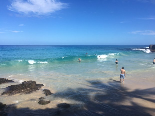 A boat is not required to snorkel on kahaluu beach park and on the pier (that is where they will take you). Best Kona Beaches My Hawaii Hostel