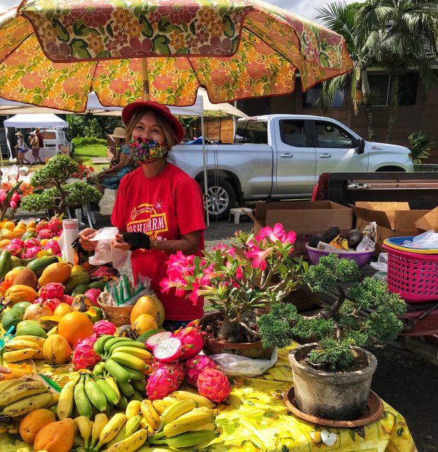 Dec 12, 2021 · kona kai resort & spa’s holiday craft market offers artisanal goods. Kauai Farmers Markets A Directory Of Kauai Markets