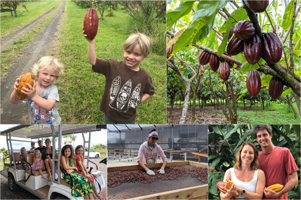 Find events, lodging, and more. Hilo Tours Activities Lavaloha